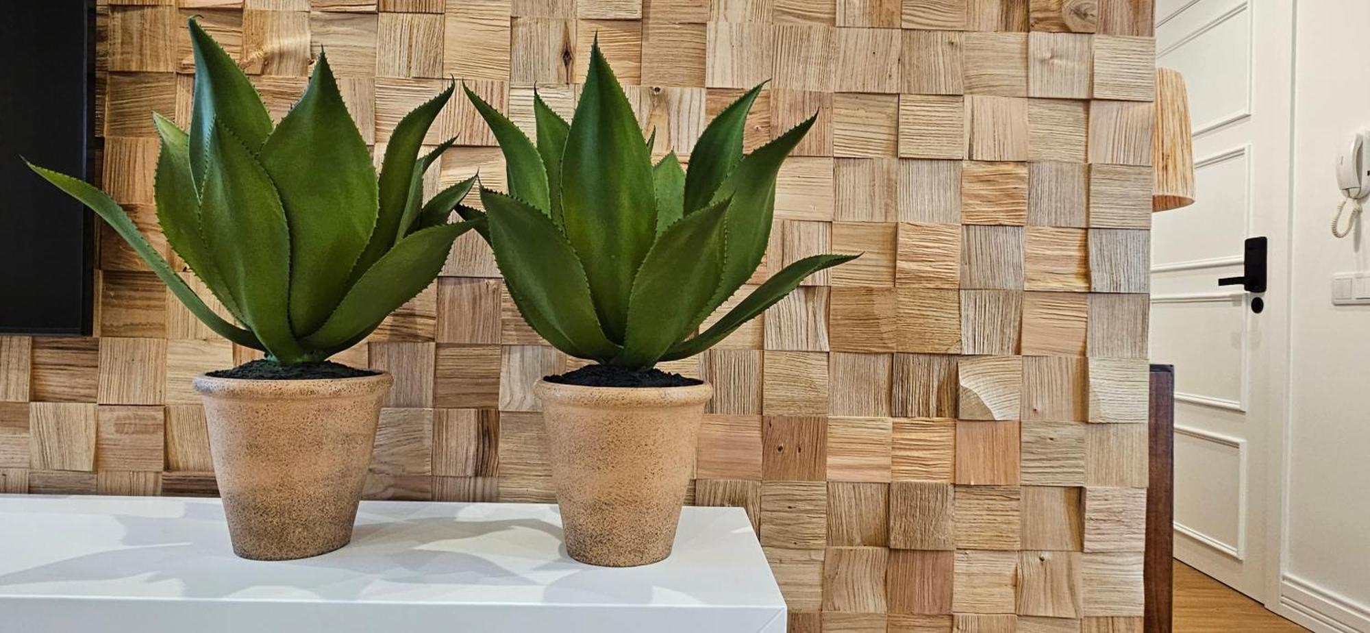Casa "Avo Chupeta" - Nazare - Alojamento Local ภายนอก รูปภาพ